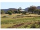 141 Thompsons Road, Pokolbin NSW 2320