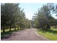 141 Thompsons Road, Pokolbin NSW 2320