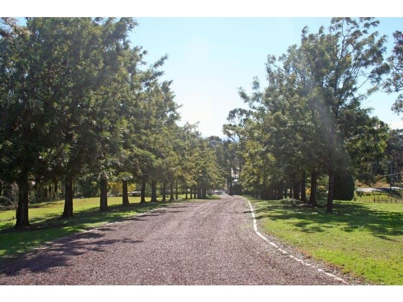 141 Thompsons Road, Pokolbin NSW 2320
