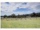141 Thompsons Road, Pokolbin NSW 2320