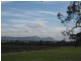 Lovedale NSW 2325