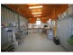 Lovedale NSW 2325