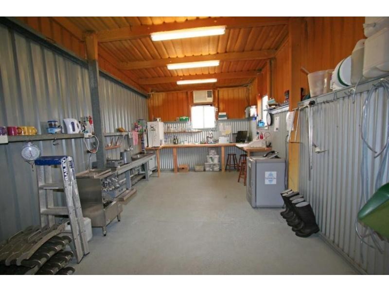 Lovedale NSW 2325