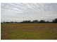 Lovedale NSW 2325