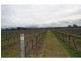 Lovedale NSW 2325
