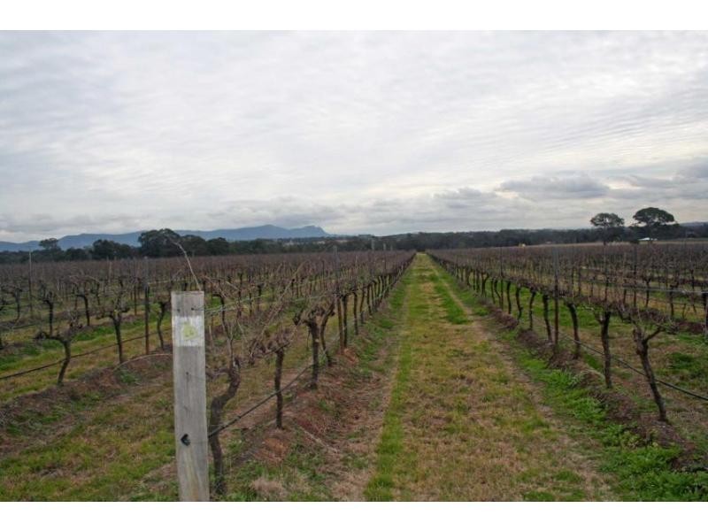 Lovedale NSW 2325