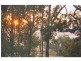 210 Hayes Road, Millfield NSW 2325
