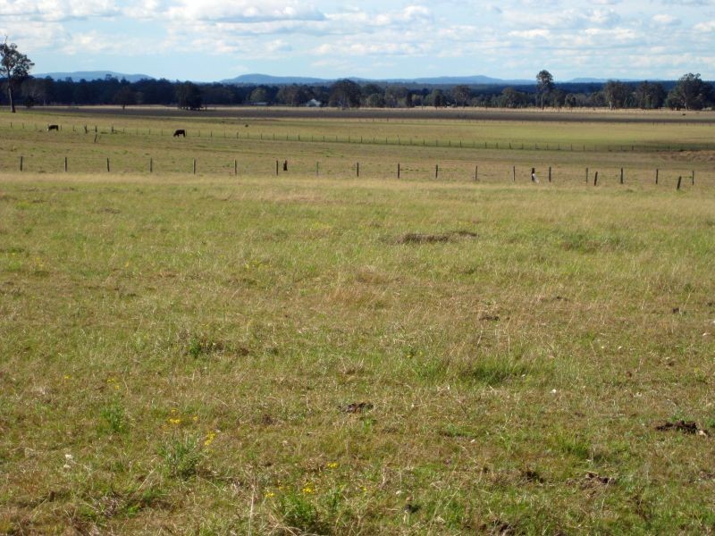 6 Tennant Street, Bellbird NSW 2325