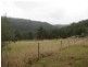 621 Wollombi Road, Broke NSW 2330