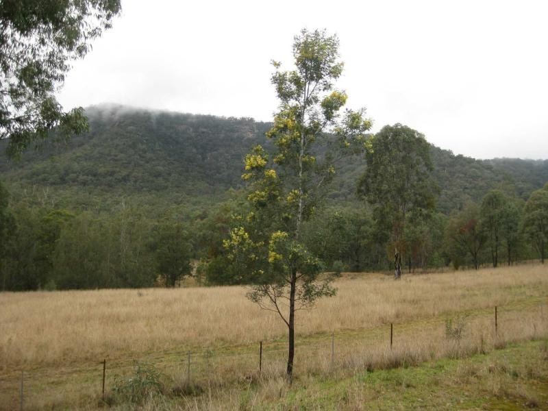621 Wollombi Road, Broke NSW 2330