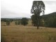 621 Wollombi Road, Broke NSW 2330