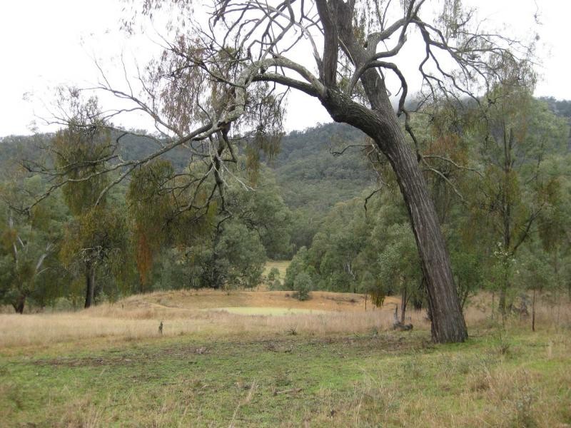 621 Wollombi Road, Broke NSW 2330