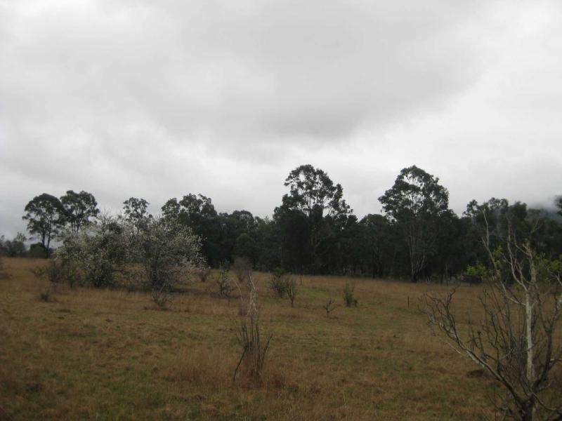 621 Wollombi Road, Broke NSW 2330