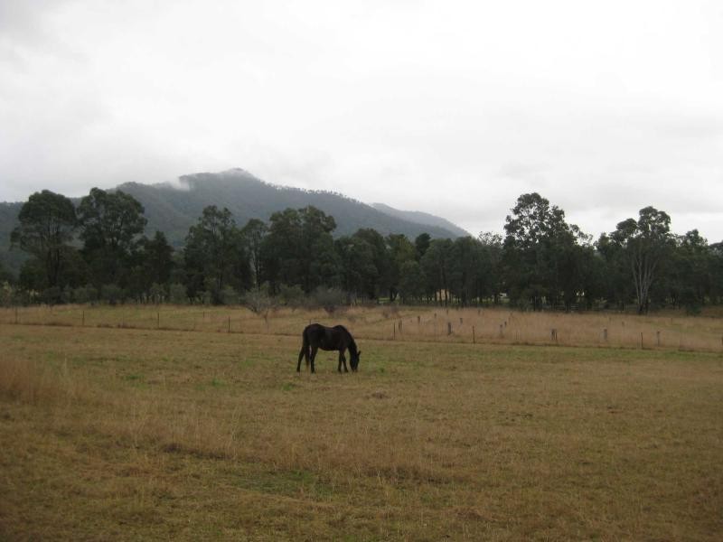 621 Wollombi Road, Broke NSW 2330