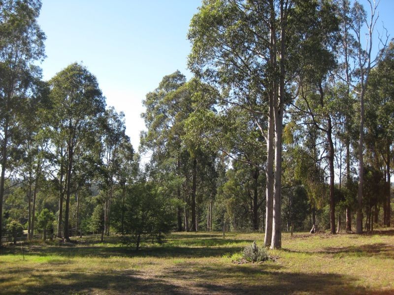 372 Wallaby Gully Road, Cessnock NSW 2325