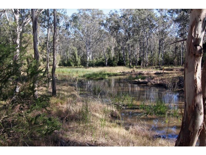 82 Millfield Road, Bellbird Waters Estate, Cessnock NSW 2325