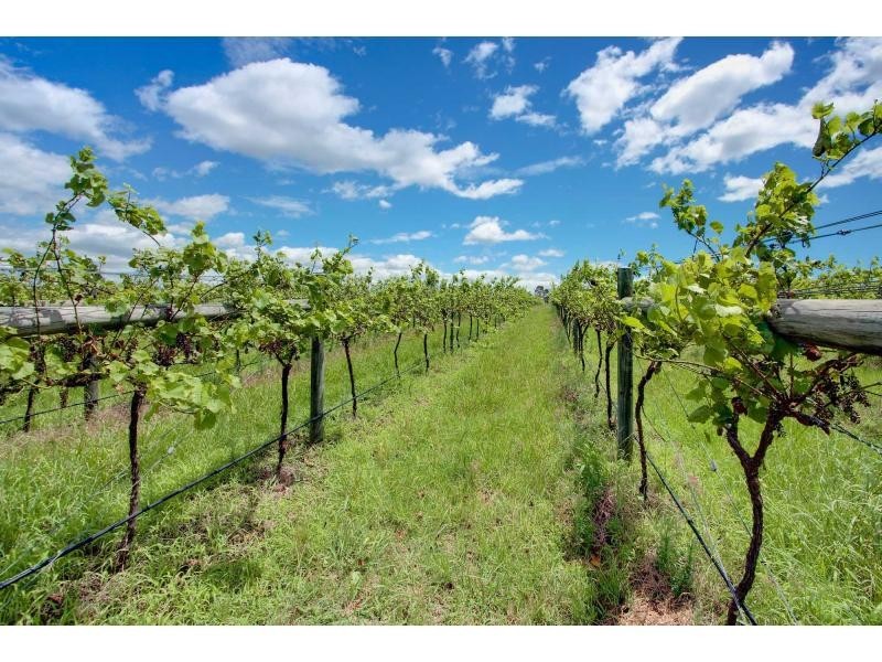 547 Old North Road, Pokolbin NSW 2320