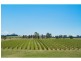 547 Old North Road, Pokolbin NSW 2320