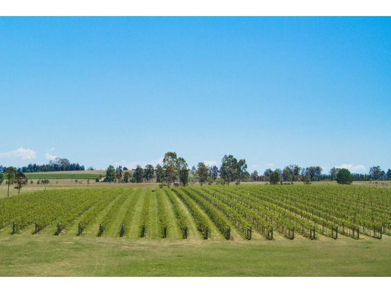 547 Old North Road, Pokolbin NSW 2320