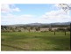 Lovedale NSW 2325