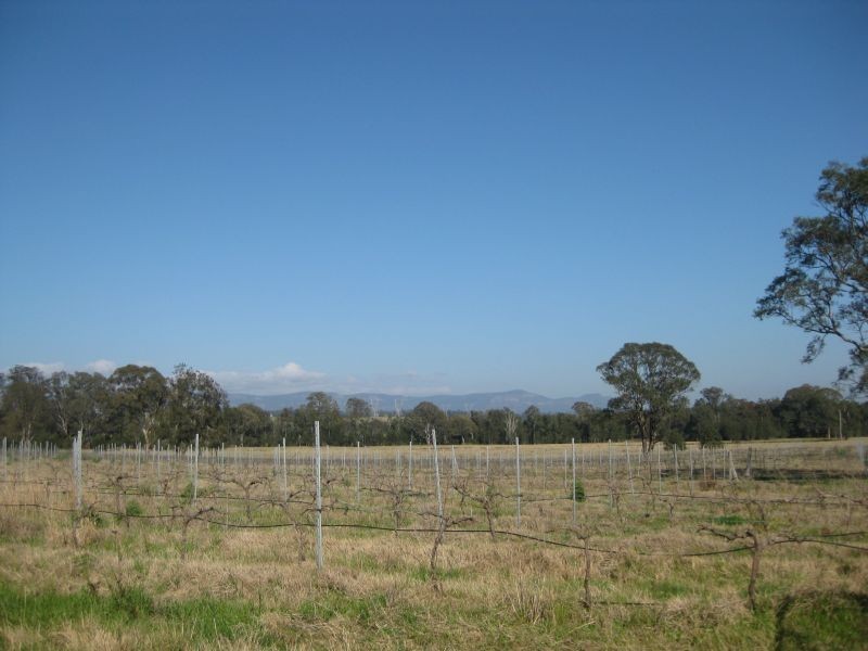 475 Lovedale Road, Lovedale NSW 2325