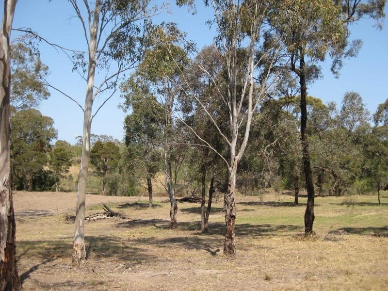 Lot 2 McDonalds Road, Pokolbin NSW 2320