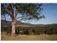Lot 26 Congewai Road, Congewai NSW 2325