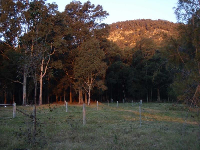 325 Whitings Lane, Quorrobolong NSW 2325