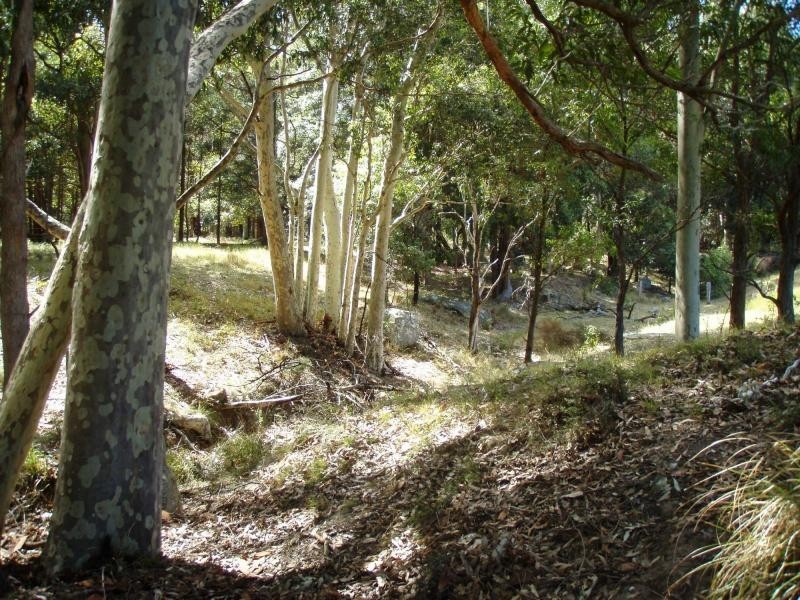 325 Whitings Lane, Quorrobolong NSW 2325