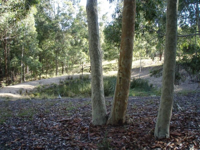 325 Whitings Lane, Quorrobolong NSW 2325