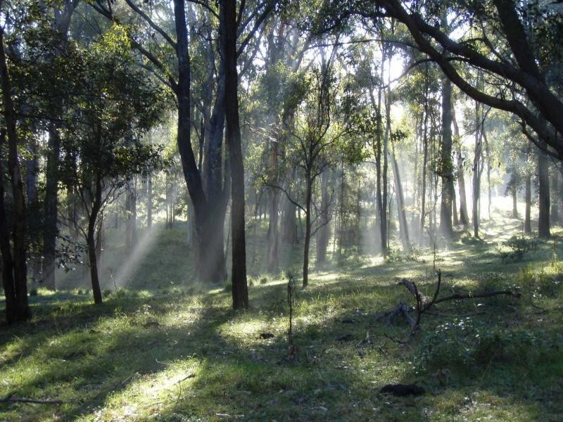 325 Whitings Lane, Quorrobolong NSW 2325