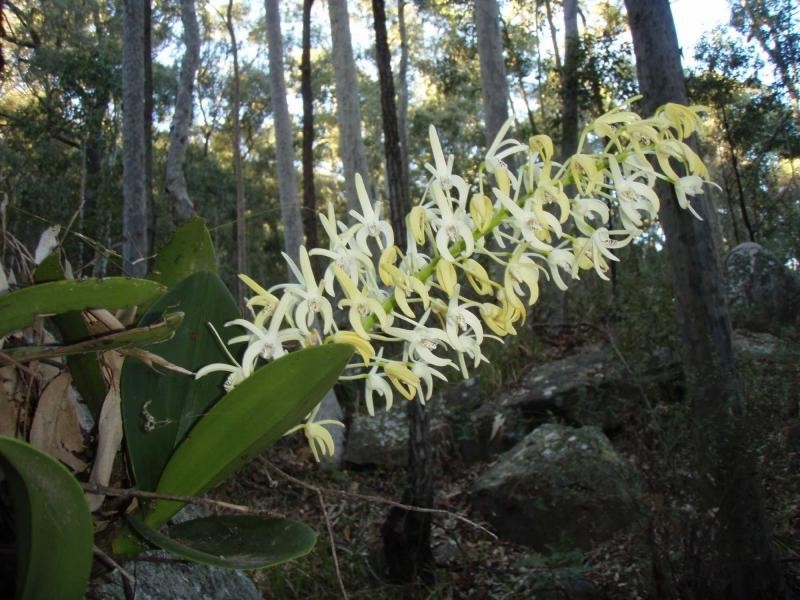 325 Whitings Lane, Quorrobolong NSW 2325