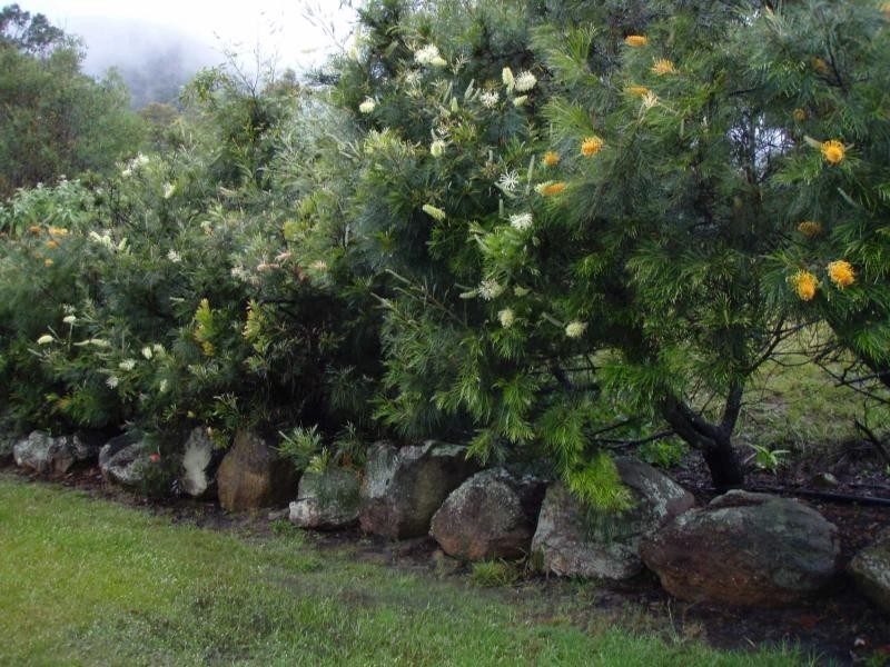 325 Whitings Lane, Quorrobolong NSW 2325