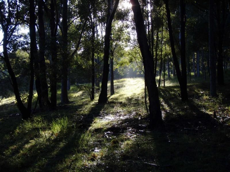 325 Whitings Lane, Quorrobolong NSW 2325