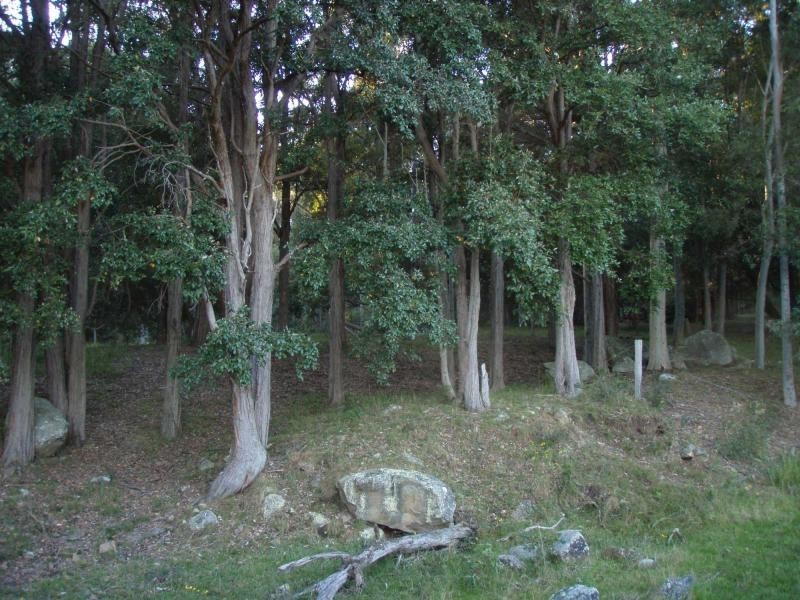 325 Whitings Lane, Quorrobolong NSW 2325