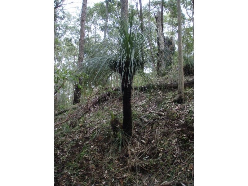 325 Whitings Lane, Quorrobolong NSW 2325