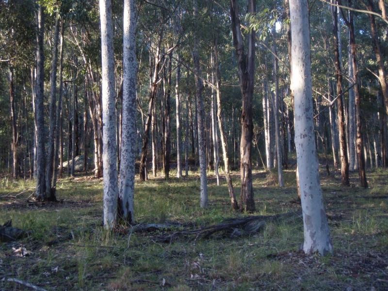 325 Whitings Lane, Quorrobolong NSW 2325