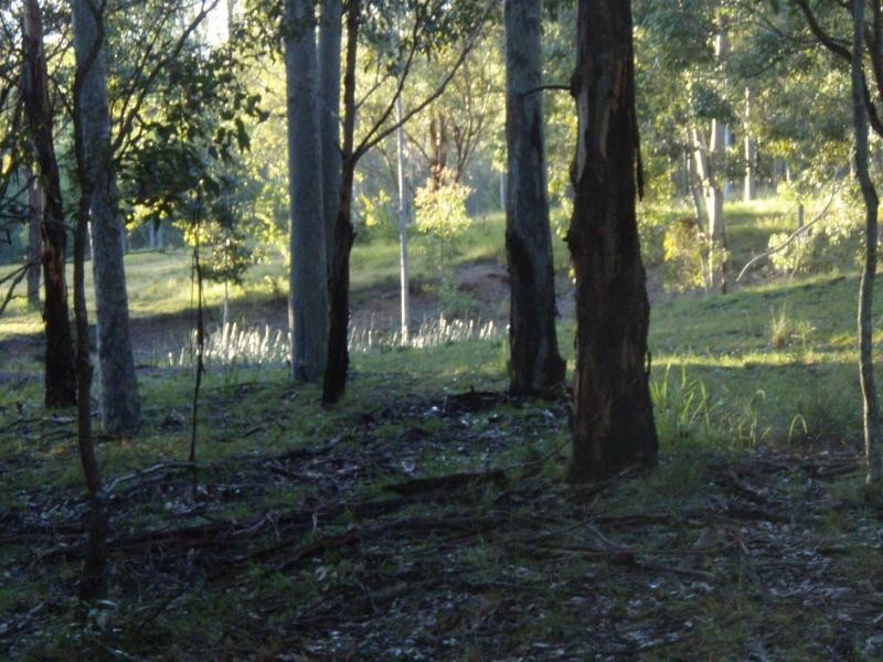 325 Whitings Lane, Quorrobolong NSW 2325