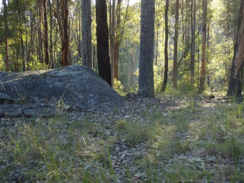 325 Whitings Lane, Quorrobolong NSW 2325