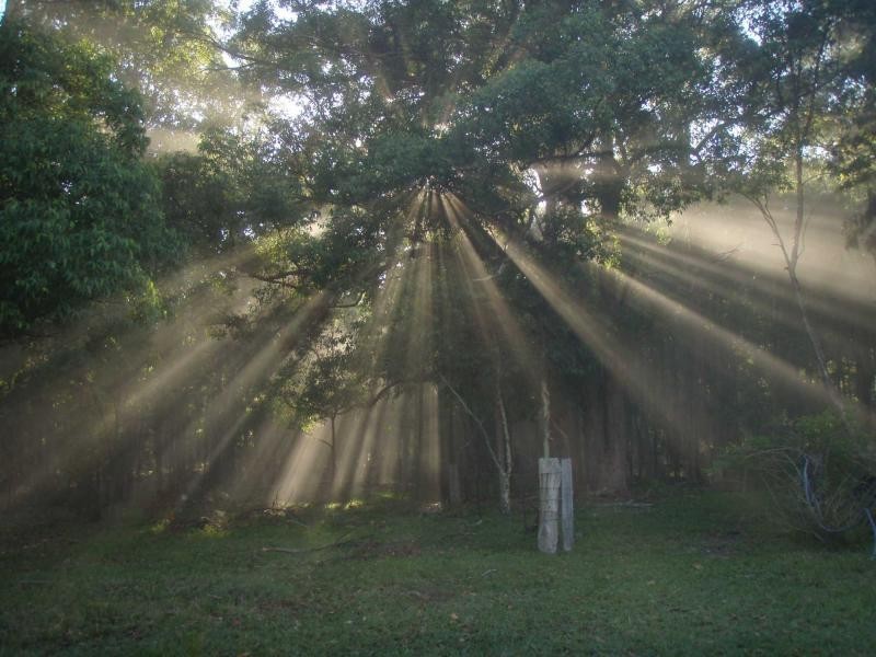 325 Whitings Lane, Quorrobolong NSW 2325