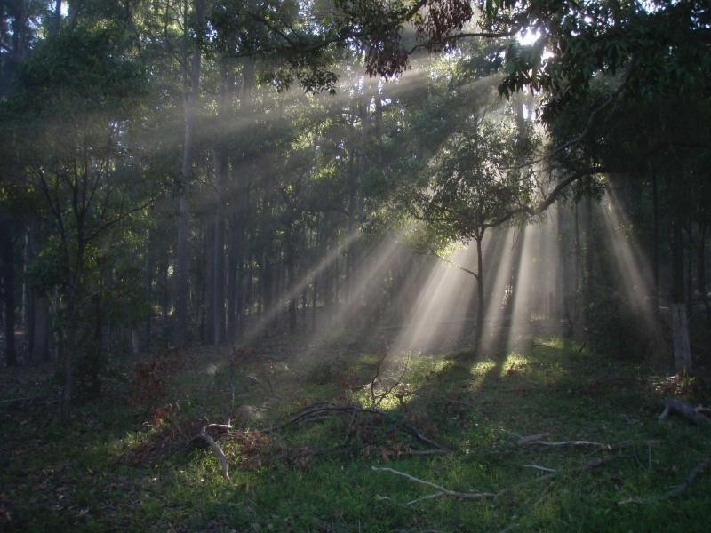 325 Whitings Lane, Quorrobolong NSW 2325