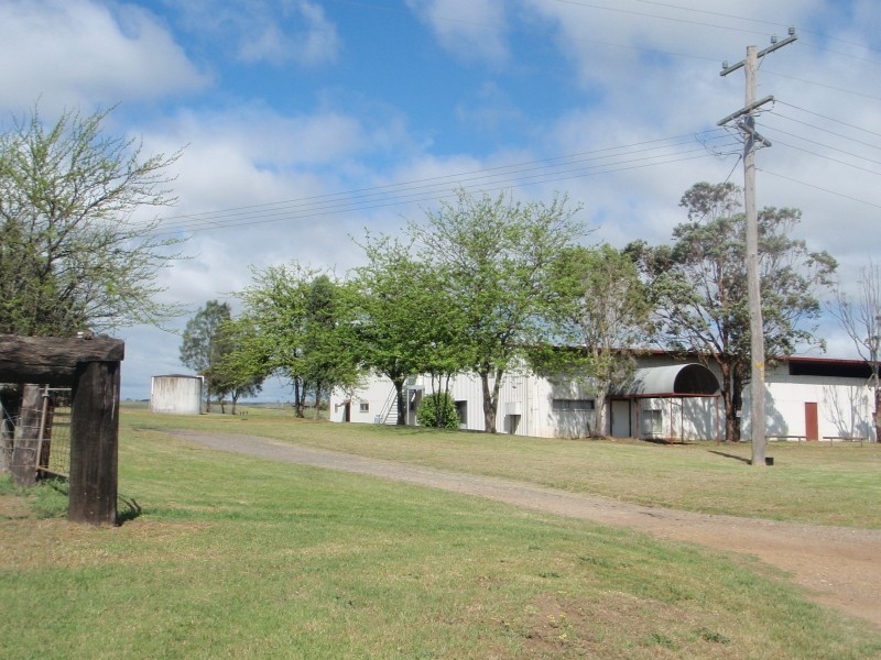 135 Windermere Road, Lochinvar NSW 2321