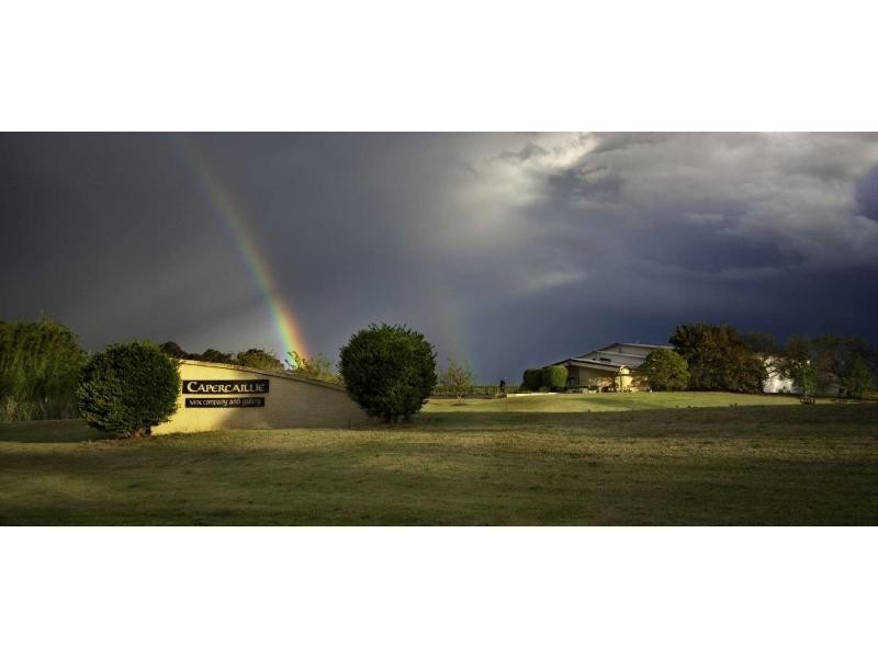 4 Londons Road, Lovedale NSW 2325