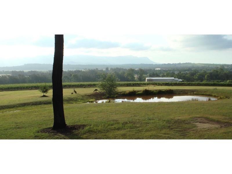 4 Londons Road, Lovedale NSW 2325