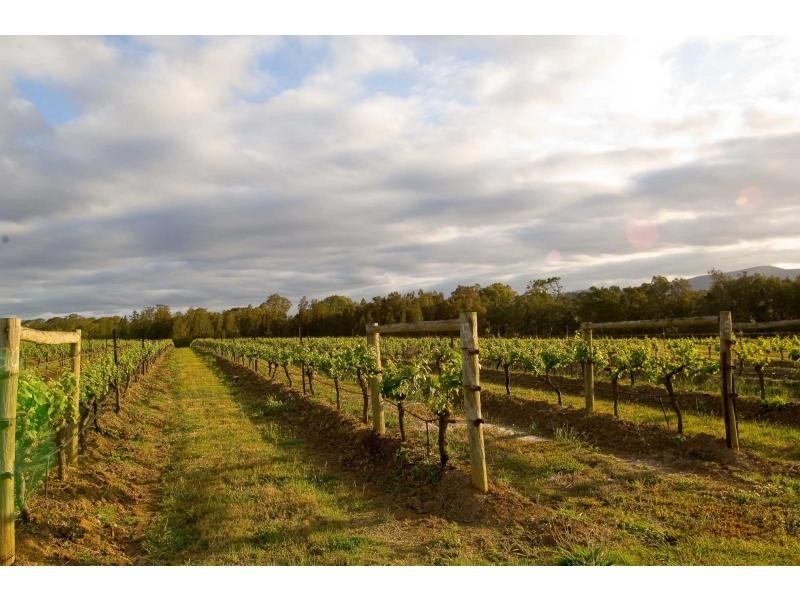 4 Londons Road, Lovedale NSW 2325