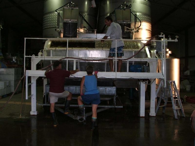 4 Londons Road, Pokolbin NSW 2320