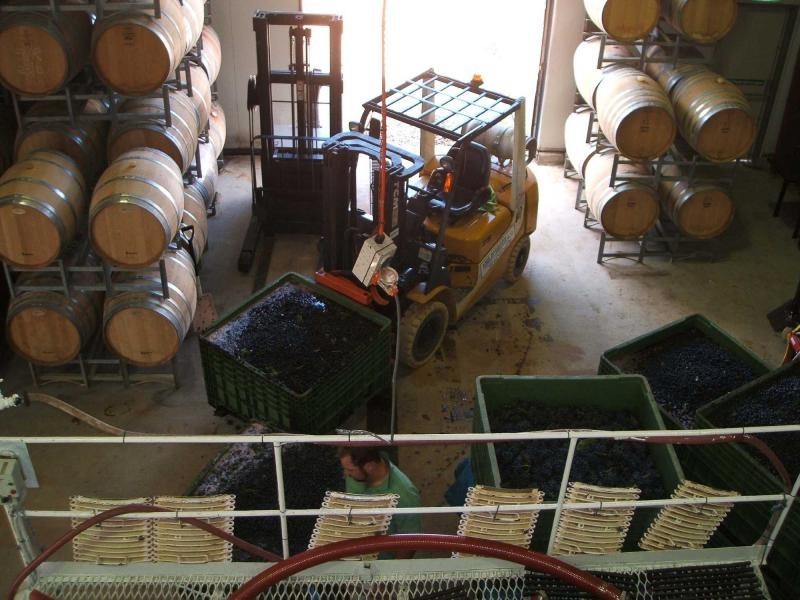 4 Londons Road, Pokolbin NSW 2320