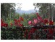 736 Congewai Road, Congewai NSW 2325