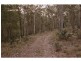 736 Congewai Road, Congewai NSW 2325