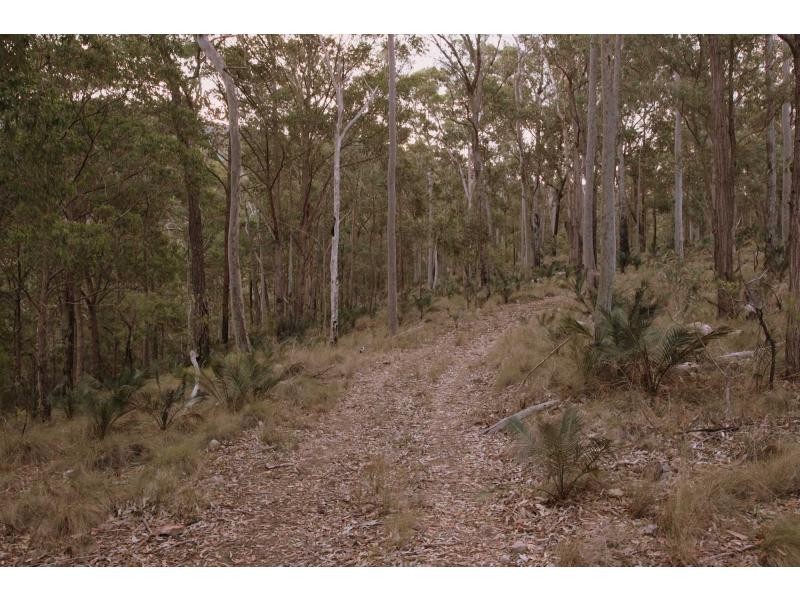 736 Congewai Road, Congewai NSW 2325